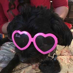 Meet your Posher, Mercedes